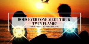 Does Everyone Meet Their Twin Flame?
