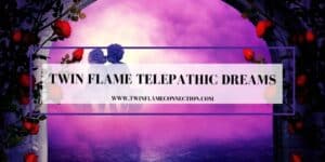 Twin Flame Telepathic Dreams